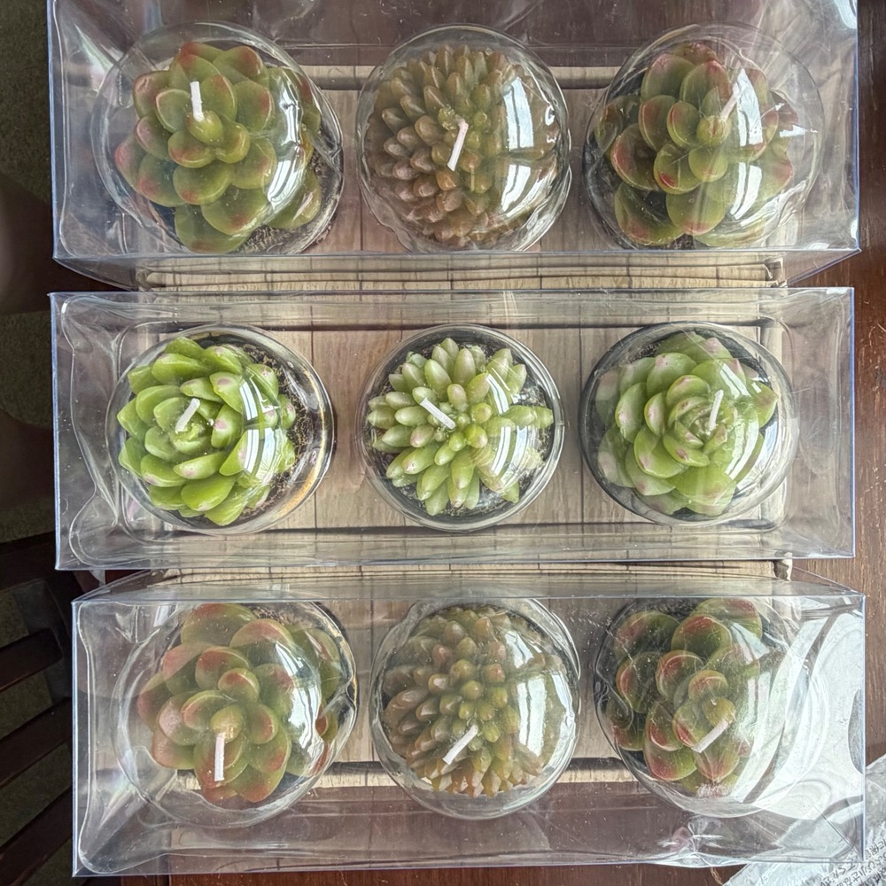 Ashland Candles Potted Succulent‎ Plants Centerpiece Decor Home Accent Votives